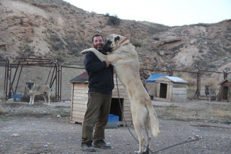 <p>Küresel ısınmanın olumsuz etkileri yalnızca doğal ekosistemlerde değil, hayvanların fiziksel yapılarında da kendini göstermeye başladı.</p>
