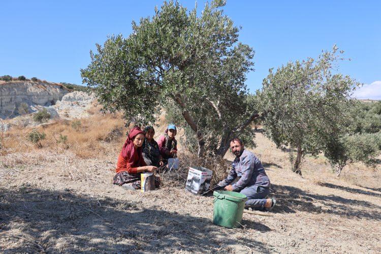 <p>Devasa yarığın oluştuğu bahçede 2 uçtaki ağaçların arasında neredeyse 300 metrelik mesafe meydana gelmiş ve 200 ağaç da yarık içerisinde kalarak heba olmuştu.</p>
