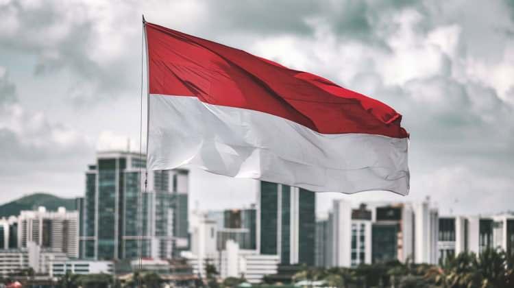 <p><strong><span style="color:#B22222">31)  ENDONOZEYA </span> |  407 MİLYAR DOLAR</strong></p>
