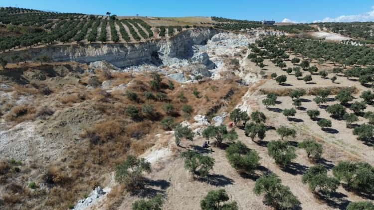 <p>Hatay'da Kahramanmaraş merkezli depremlerde kırılan fay hattının ikiye ayırdığı 33 dönümlük zeytin bahçesinde korkutan hasat başladı.</p>

<p> </p>
