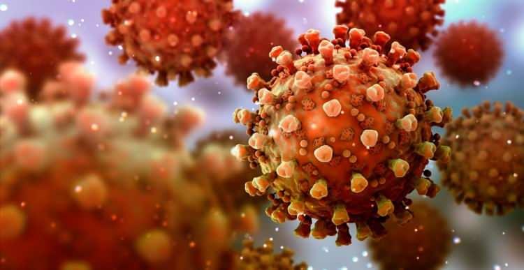 <p><span style="color:#B22222"><strong>EBOLA VİRÜSÜNE ÇOK BENZİYOR</strong></span></p>

<p>Dünya Sağlık Örgütü'ne (DSÖ) göre temas takibi yapılıyor ve 300 kişi yakından izleniyor. Ruanda'da ilk kez Marburg virüsü vakasının görüldüğü bu durum, Ebola'ya oldukça benzer.</p>

<p> </p>

