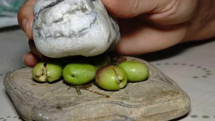 <p><strong>11. SNS GIDA KOZMETİK TİCARET VE SANAYİ LİMİTED ŞİRKETİ AWE LABORATORİES Saf Zeytinyağı -</strong> Tohum Yağları Karıştırılması Tespiti</p>