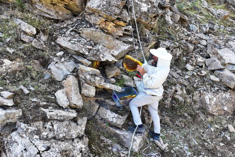 <p>Ağabeyi ile bölgede arıcılık yaptığını belirten Hadi Semo ise ailede üçüncü kuşak olarak mesleği sürdürdüklerini dile getirdi.</p>
<p> </p>
