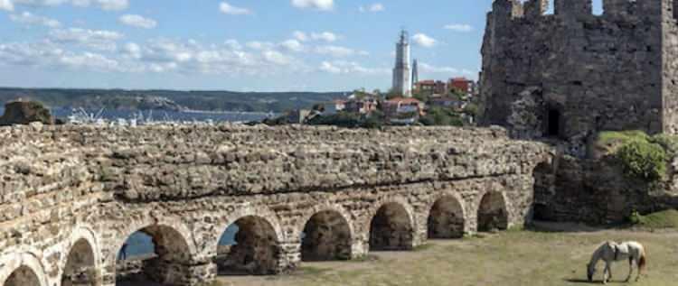 <p><span style="color:#B22222"><strong>Demirciköy</strong></span></p>
<p> </p>
<p>Osmanlı döneminde padişah ve paşaların avlanmasıyla meşhur olan bölgeye, "Paşalar Köyü" de deniliyordu.</p>