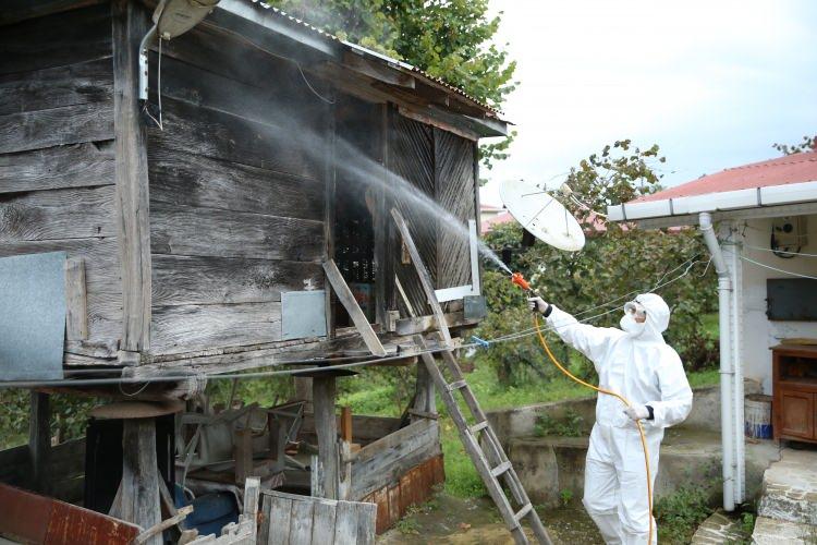 <p>Bu kapsamda havaların soğumaya başlamasıyla fındık bahçelerinden kışı geçirecekleri kışlaklara yönelen kokarca zararlılarına karşı ilaçlama yapılıyor.</p>

<p> </p>
