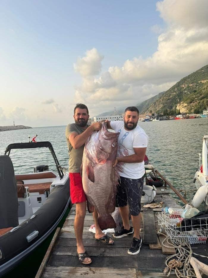 <p><strong>Balık dönüşünde çok yorulduğumuz için artık kol kaldırmıyordu, tartamadık. 45 kilogramın üstünde bir balık. Ayrıyeten yani zaten normal bir eften püften bir oltayla çekilecek gibi bir balık değil.</strong></p>

<p> </p>
