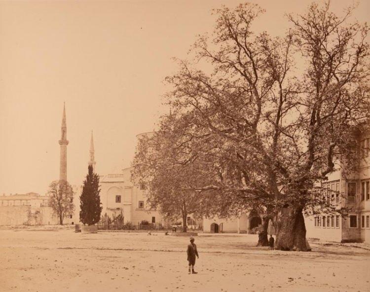 <p>Janiczárfa III. Sultan Ahmed Parkı'nda</p>