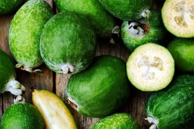 <p>Feijoa meyvesinin faydaları arasında zengin <strong>C vitamini</strong> içeriği sayesinde bağışıklık sistemini güçlendirmesi yer alır.</p>
