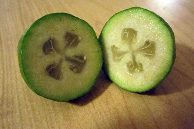 <p>Düşük kalorili yapısı ve yüksek lif içeriği sayesinde feijoa meyvesinin faydaları kilo yönetimine de yardımcı olabilir.</p>