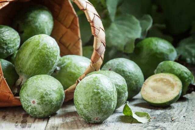 <p>Feijoa meyvesinin faydaları arasında <strong>B vitaminleri</strong> ve mineraller açısından zengin olması da vardır.</p>
