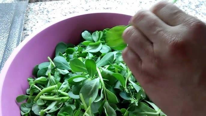 <p>bunlarla birlikte veya sonrasında semizotu yaprağı, kabak ve marul gibi sindirimi kolay ve tıkanıklığı açıcı yiyecekler önerilirdi. Bu, dengeli bir beslenme için önemliydi.</p>
