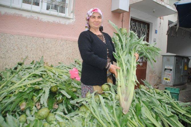 <p>Aydın'ın enginar üretimi, hem yerel ekonomiye katkı sağlarken, hem de sağlık açısından önemli faydalar sunuyor. Bu yıl, enginar sezonunun başlamasıyla birlikte hasat edilen taze filizler pazarlarda alıcılarını bekliyor.</p>

<p> </p>
