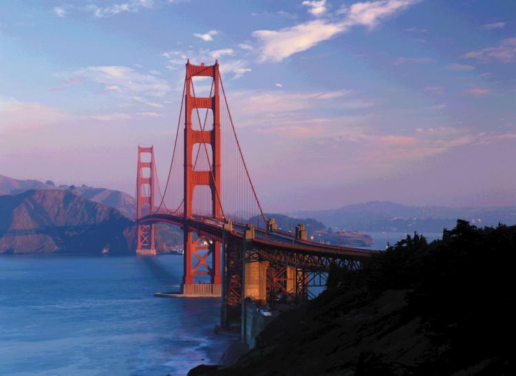 <p><strong>San Francisco / California</strong></p>