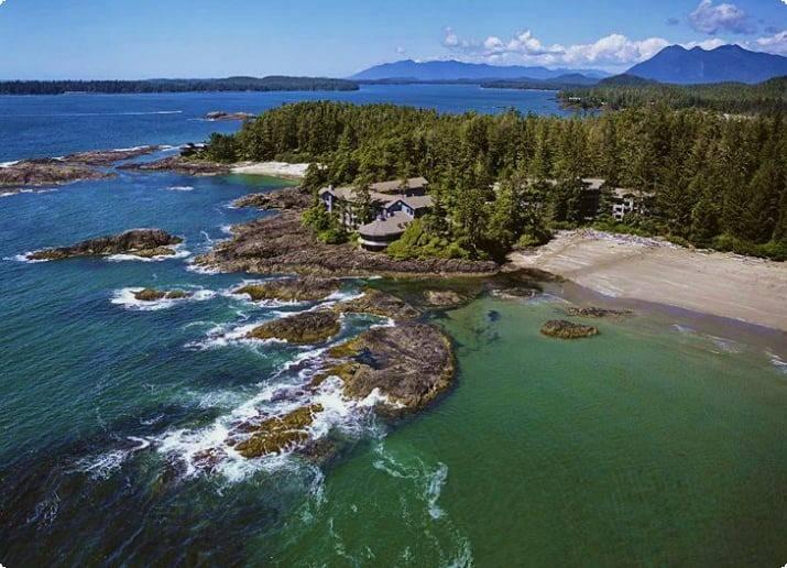 <p><strong>Tofino / Britanya Kolumbiyası</strong></p>