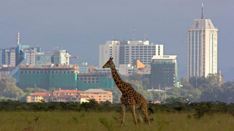 <p><strong>Nairobi / Kenya</strong></p>