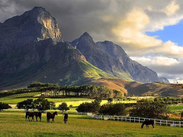 <p><strong>Franschhoek / Güney Afrika</strong></p>