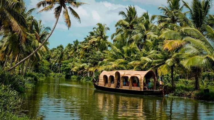 <p><strong>Kerala / Hindistan</strong></p>