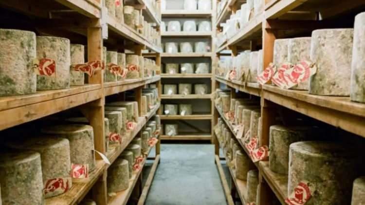 <p>Şirket, Holden'ın mandırasına ve diğer iki peynir üreticisine (Westcombe Dairy ve Trethowan Brothers) 22 metrik tonluk siparişi karşılamak için başvurdu.</p>

