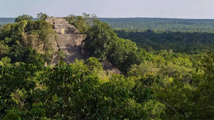 <p>Gizli şehir Valeriana olarak adlandırılan tapınak, güneydoğudaki Campeche eyaletinde, bir arkeoloji yüksek lisans öğrencisinin internette gezinirken bölge hakkında bazı ilginç gerçeklerle karşılaşması sonucu tesadüfen keşfedildi.</p>
