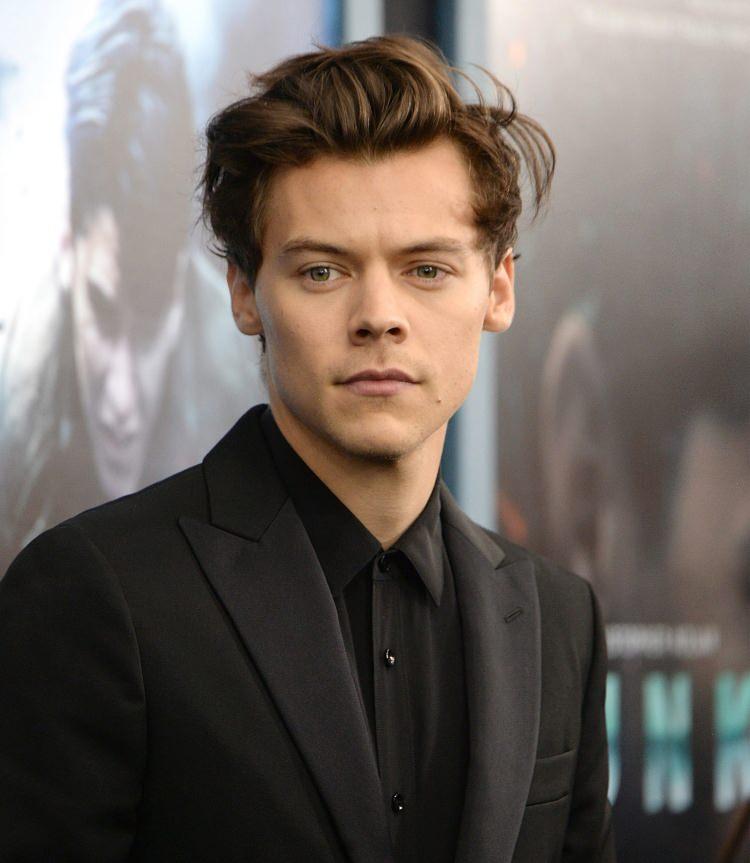 <p><strong>1. HARRY STYLES</strong></p>

<p>2010 yılında <strong>One Direction</strong> grubu ile müzik piyasasında çıkış yapan Harry Styles, kariyerine solo çalışmalarıyla devam etti. Yayınladığı şarkıları e aldığı birçok film projesi ile kariyerinde hızlı bir yükselişe geçen Styles dünyanın en zengin 30 yaş altı ünlüsü seçildi. Styles 200 milyon sterlinlik servetiyle üst üste dünyanın en genç zengin ünlüsü seçilerek zirveye yerleşti.</p>
