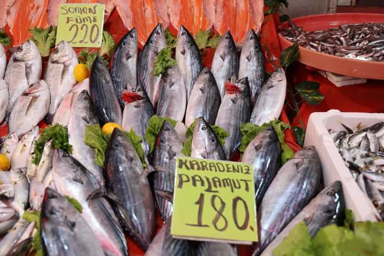 <p><em><strong>Geçen seneye oranla fiyatlarda yüzde 20'lik bir artış var. Diğer besin gruplarına göre balık fiyatları gayet normal. Bir kilo et parası ile 4-5 kilogram balık alabiliyorsunuz. Hava soğudukça balık çeşitleri daha fazla olacak bundan dolayı da fiyatlarda düşüş olacaktır” </strong></em>dedi.</p>