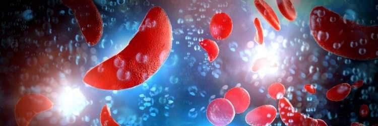 <p>Yapılan testlerde demir eksikliği (mikrositik anemi) ve B12 vitamini düşüklüğü tespit edilen genç, B12 vitamini enjeksiyonları aldı ve diyetine dikkat etmesi konusunda tavsiyeler verildi.</p>