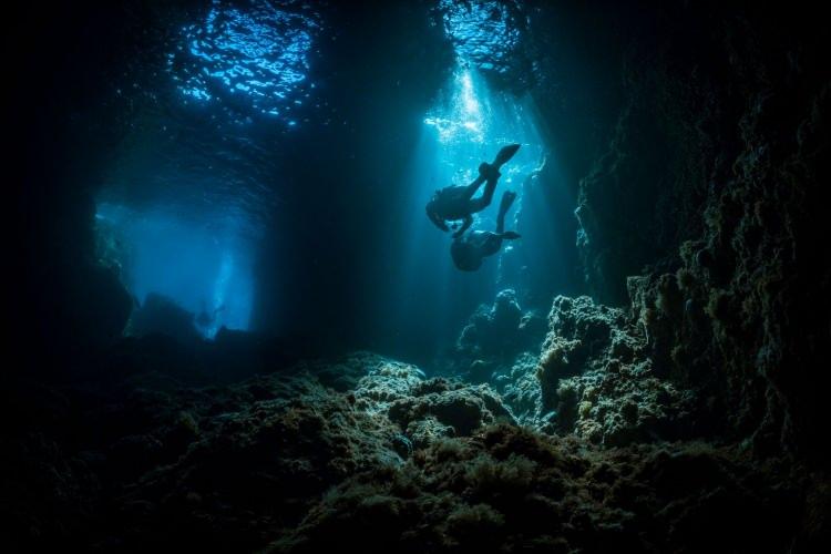 <p><strong>Dive Tutukaka / Tutukaka, Yeni Zelanda</strong></p>
