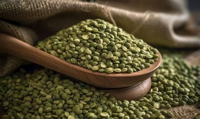 <p>Demir açısından zengin olan yeşil mercimek, vücudun <strong>enerji ihtiyacını karşılamakta</strong> önemli bir rol oynar. Demir eksikliği yaşayanlar için yeşil mercimeğin faydaları oldukça fazladır. Magnezyum içeriği ise <strong>kalp sağlığını destekler</strong>.</p>
