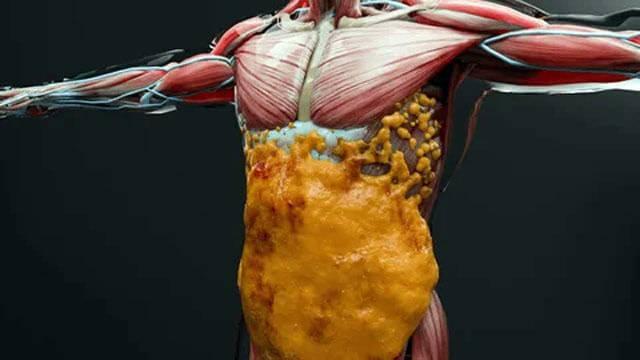 <p><strong>3- Metabolizmayı Hızlandırır ve Yağ Yakımını Destekler</strong></p>