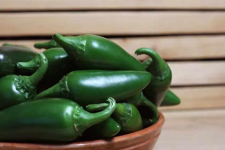 <p>25- JALAPENO</p>

<p>29kcal, 100g başına</p>

<p>Diğer biberlerle aynı türdür. Olgunlaşmış kırmızı jalapeño'larda karotenoid seviyeleri 35 kat daha fazladır.</p>

<p>BESİN DEĞERLERİ PUANI: 51</p>
