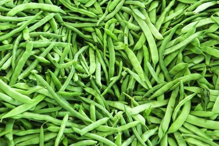 <p>22- YEŞİL FASULYE</p>
<p>31kcal, 100g başına</p>
<p>Yeşil fasulye, taze fasulye olarak da bilinir ve kolesterol seviyelerini düşürdüğü düşünülen saponinler açısından zengindir.</p>
<p>BESİN DEĞERLERİ PUANI: 54</p>