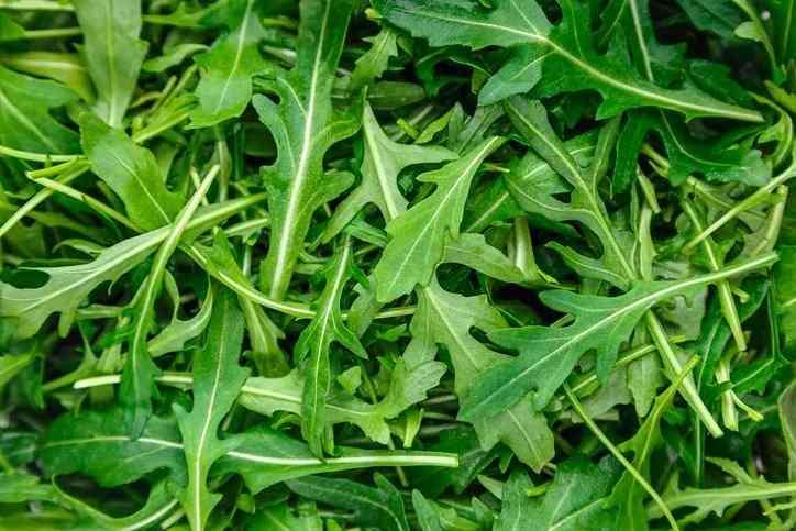 <p>18- ROKA</p>
<p>25kcal, 100g başına</p>
<p>Roka olarak bilinen bir salata yaprağı. Yüksek glukozinolat seviyeleri kansere ve kardiyovasküler hastalıklara karşı koruma sağlar.</p>
<p>BESİN DEĞERLERİ PUANI: 55</p>