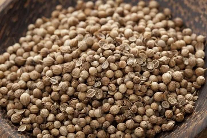 <p>12- KİŞNİŞ</p>
<p>23kcal, 100g başına</p>
<p>Sindirim şikayetleri, öksürük, göğüs ağrısı ve ateş gibi rahatsızlıkların tedavisinde kullanılan, karotenoidler açısından zengin bir bitki.</p>
<p>BESİN DEĞERLERİ PUANI: 61</p>