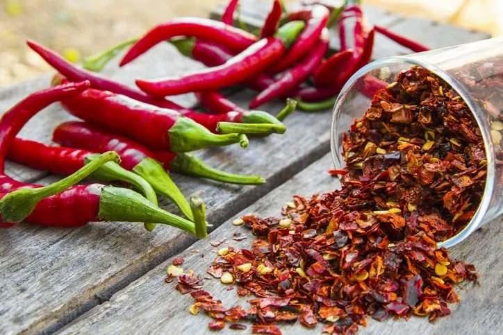 <p>10- KIRMIZI BİBER</p>
<p>324kcal, 100g başına</p>
<p>Capsicum bitkisinin keskin kokulu meyveleri. Kapsaisinoid, karotenoid ve askorbik asit antioksidanları açısından zengindir.</p>
<p>BESİN DEĞERLERİ PUANI: 62</p>