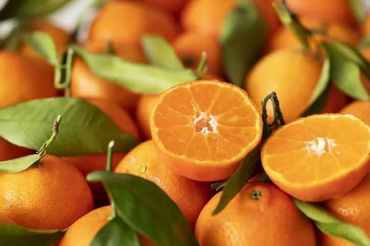 <p>6- MANDALİNA</p>
<p>53kcal, 100g başına</p>
<p>Basık turuncu bir narenciye meyvesi. Şeker ve A vitamini öncüsü olan karotenoid kriptoksantin açısından zengindir.</p>
<p>BESİN DEĞERLERİ PUANI: 67</p>