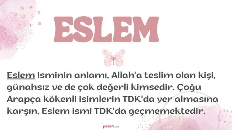 <p>13. ESLEM 3.067 Kişi</p>
<p> </p>