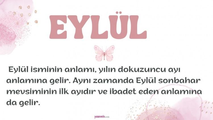 <p>14. EYLÜL 3.024 Kişi</p>