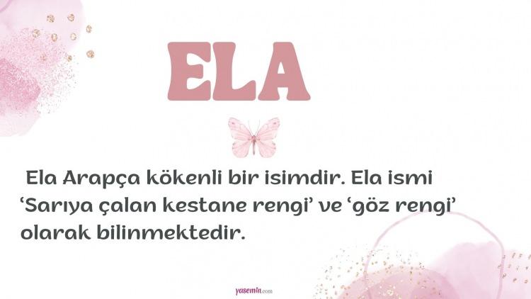 <p>23. ELA 2.529 Kişi</p>
<p> </p>