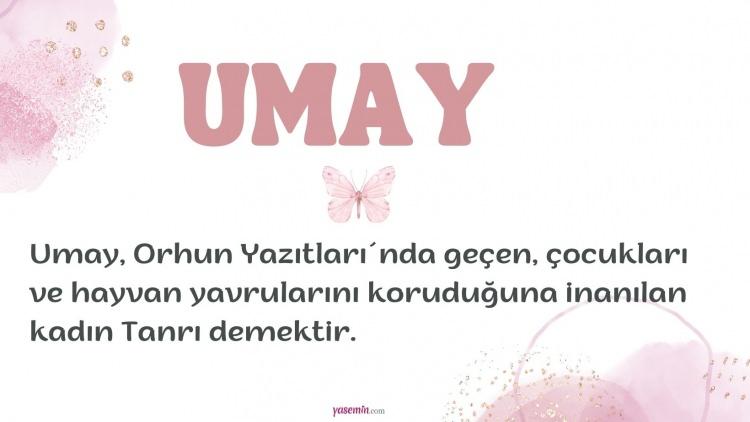<p>29. UMAY 2.015 Kişi</p>