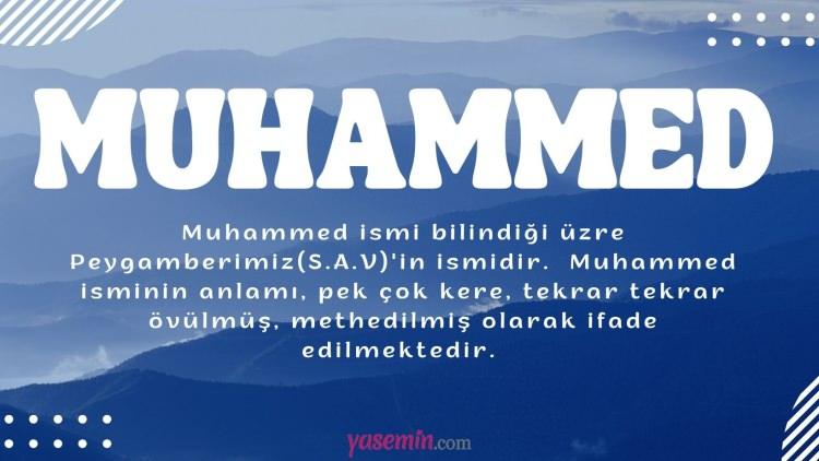 <p>11. MUHAMMED 3.375 Kişi</p>

<p> </p>
