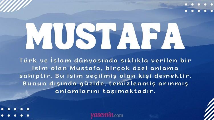 <p>12. MUSTAFA 3.285 Kişi</p>

<p> </p>
