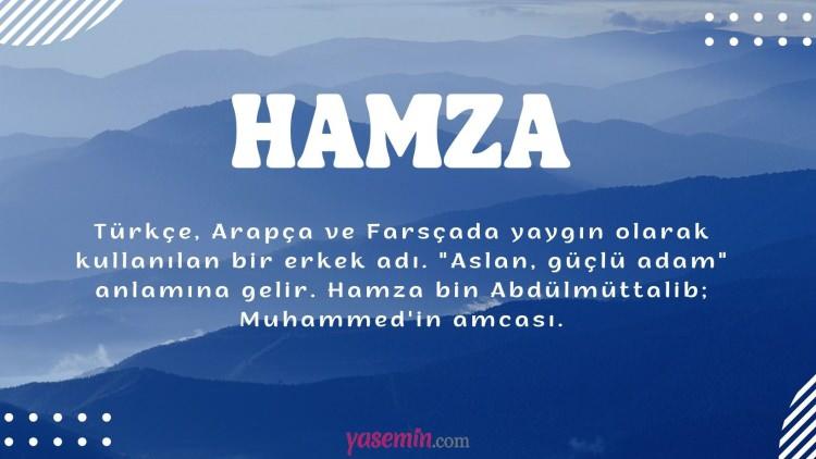 <p>17. HAMZA 2.875 Kişi</p>
<p> </p>