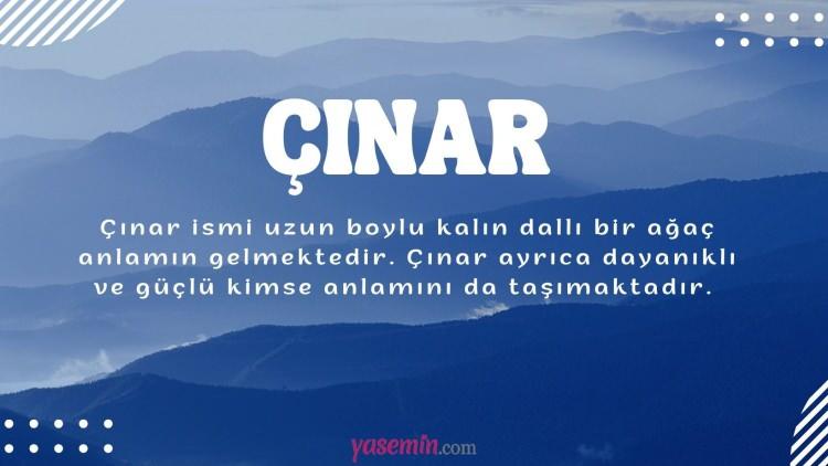 <p>20. ÇINAR 2.648 Kişi</p>

<p> </p>

