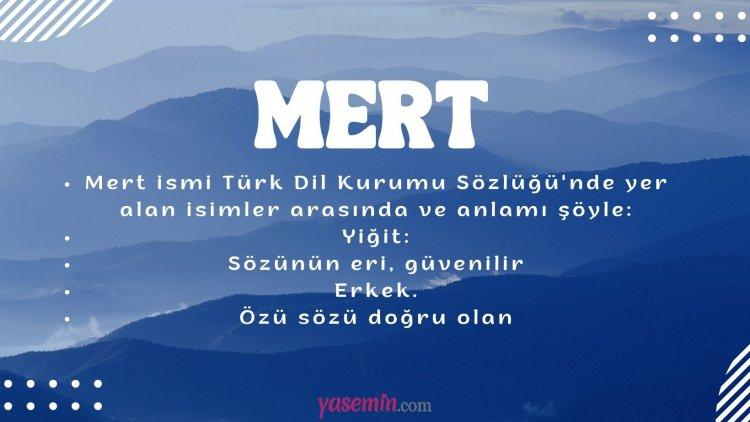 <p>30. MERT 2.172 Kişi</p>
<p> </p>