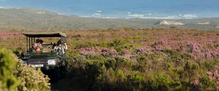 <p><strong>Grootbos Florilegium / Gansbaai, Güney Afrika</strong></p>
