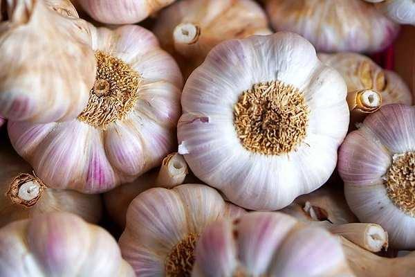 <p>Ulusal Kanser Enstitüsü'nün paylaştığı verilere göre, düzenli sarımsak tüketimi mide ve kolorektal kanser riskini azaltıyor. </p>

<p> </p>
