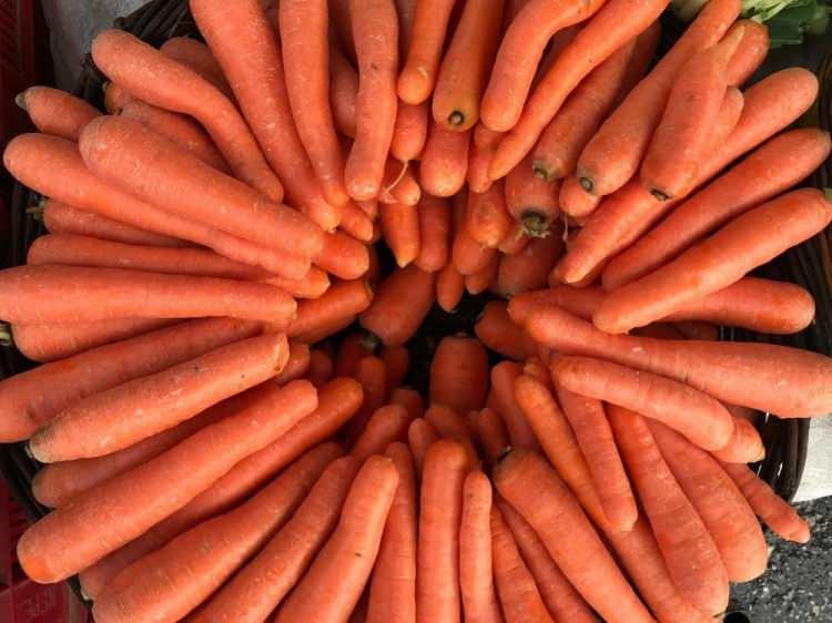 <p>Havuç; alfa-karoten, beta-karoten, lutein ve likopen gibi faydalı bileşikler yönünden oldukça zengindir. Havuç, yüksek besin değerleri sayesinde bağışıklığı da güçlendirir.</p>

<p> </p>
