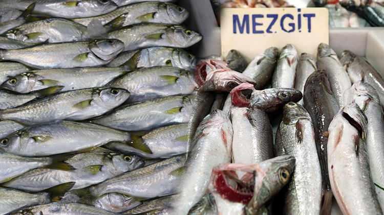 <p>Mezgitin kilosunun 600-750 lira arasında olduğu, yarı fiyatına satılan bu balığın zehirli balon balığı olabileceği uyarısında bulunuldu.</p>