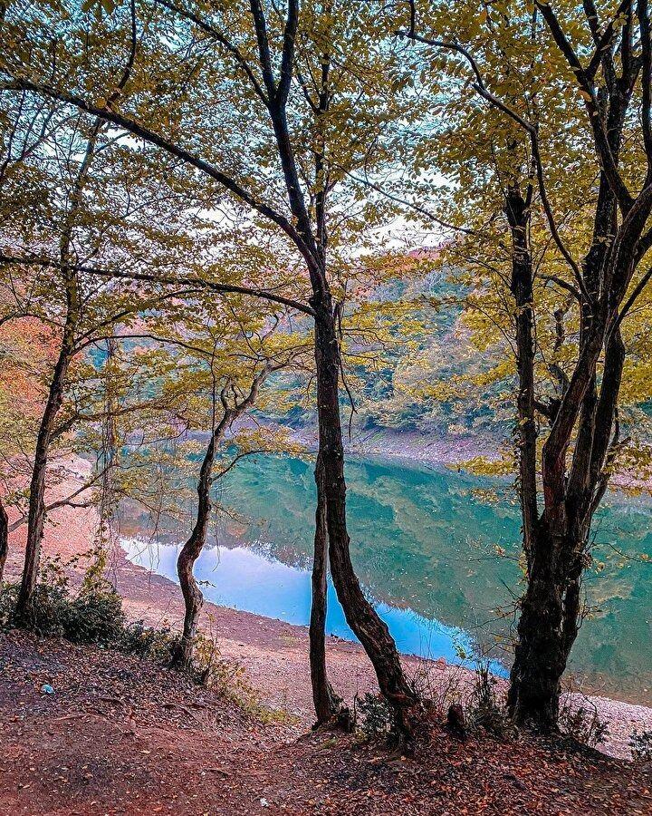 <p><span style="color:#000000"><strong>Mevsimin güzelliğinin tadını çıkarmak isteyen birçok kişi ise İstanbul'a özel sonbahar rotalarına göz atmayı ihmal etmiyor. </strong></span></p>