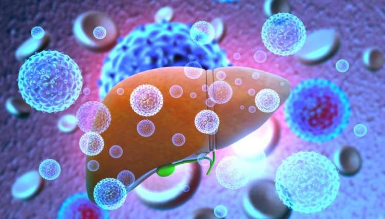 <p>Viral hepatitler: </p>
<p> </p>
<p> 248 Kişi</p>